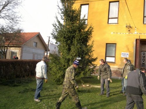 Dobrovolní hasiči instalují vánoční strom v Nových Sedlicích