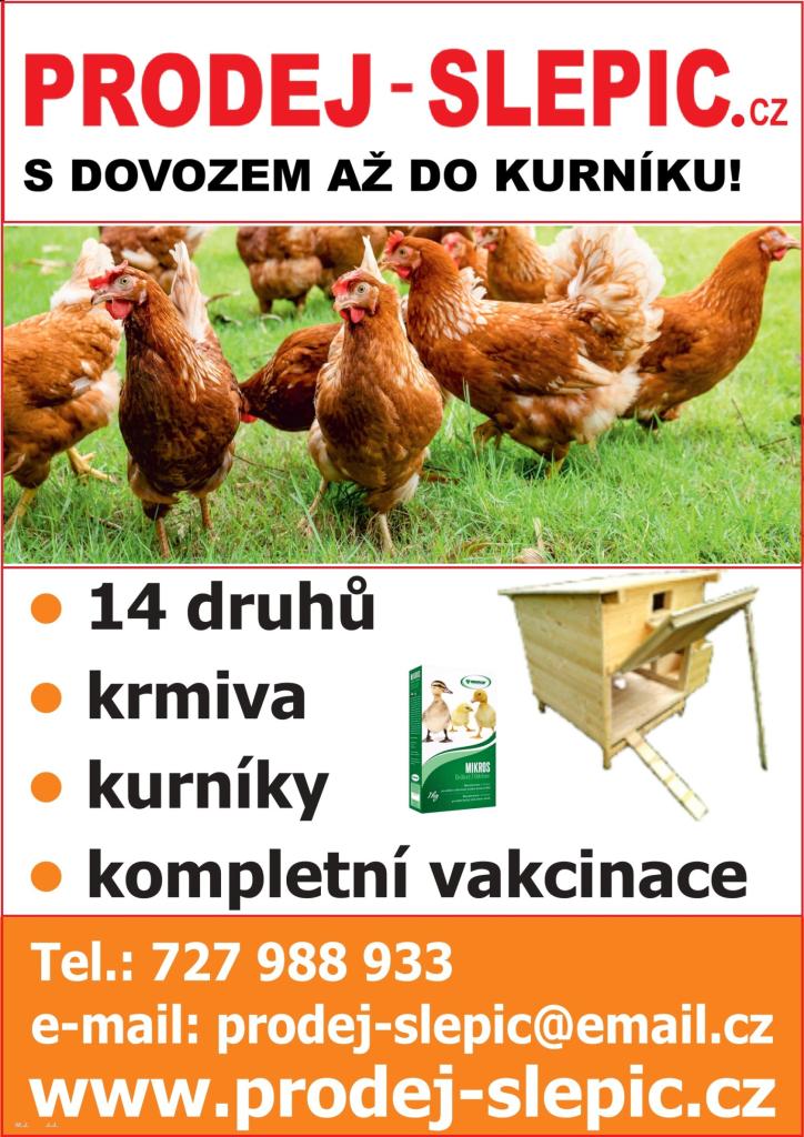 Leták prodej slepic