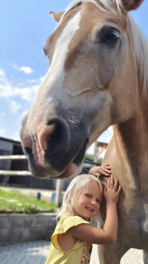 Ranč setkání v Nových Sedlicích